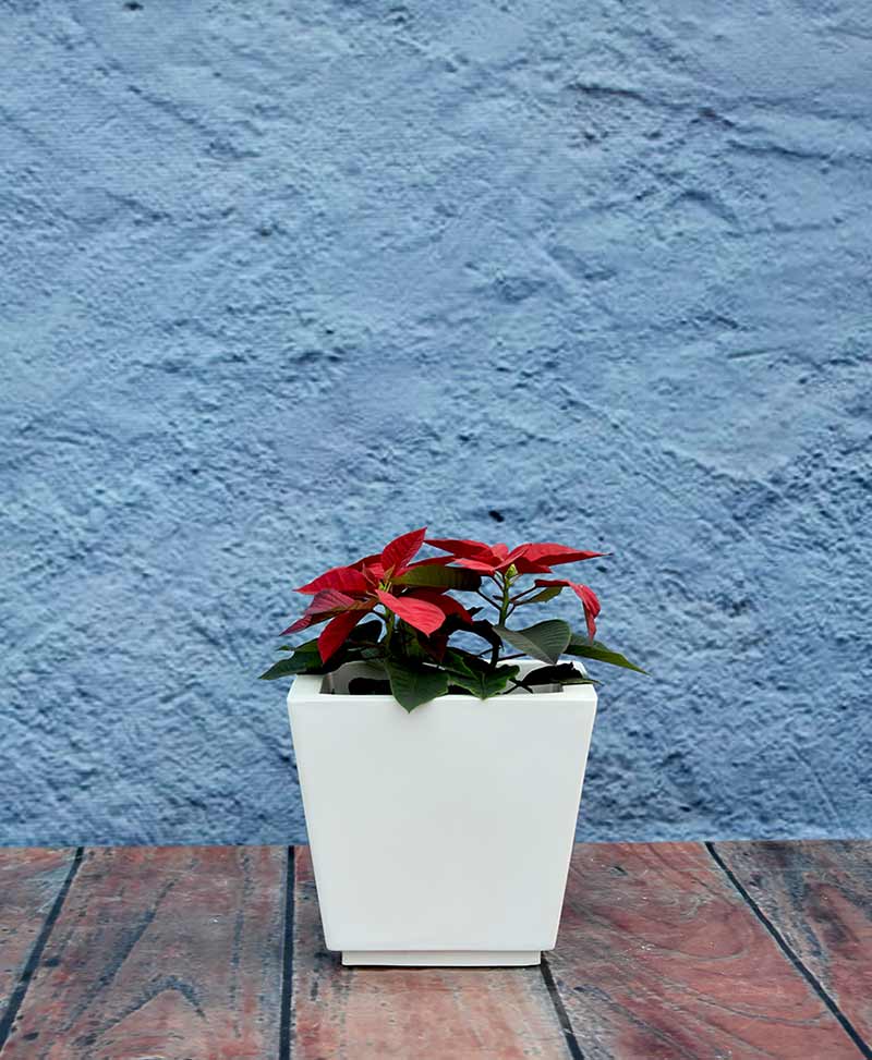 tapered-shape-raised-planter-14-inch,-indoor-–-outdoor-fiber-planters-Nzg=